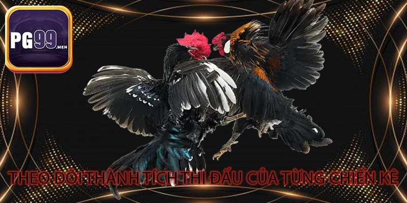 Theo dõi thành tích thi đấu của từng chiến kê